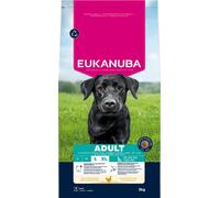 Eukanuba Adult Large Breed Croquettes pour Chien aux Poulet 3kg
