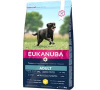 Eukanuba Adult Large Breed Pour Chien au Poulet 12kg