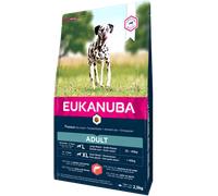 Eukanuba Adult Large Breed Pour Chien au Saumon Et Orge 12kg