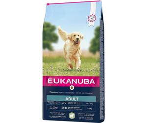 Eukanuba Chien Adulte Grandes Races Agneau Et Riz 12kg