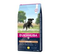 EUKANUBA Developing Junior Large Breed Chicken - croquettes pour chiens junior de grandes races Riches en poulet frais - 15kg