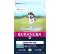 Eukanuba Grain Free Chien Adulte Grande Race Agneau 3 kg