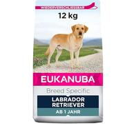 EUKANUBA Labrador Retriever Adulte Poulet 12 kg