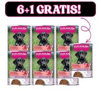 EUKANUBA Nourriture humide pour chiots, riche en bœuf et en potiron 6x400g + 400g Gratis