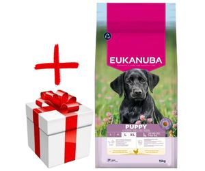 Eukanuba Puppy&Junior Large Breed 15kg+Surprise gratuite pour votre chien