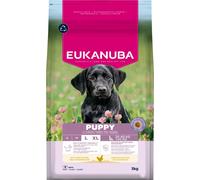 Eukanuba Puppy Large Breed Croquettes pour Chiot aux Poulet 3kg