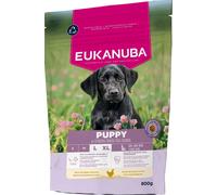 EUKANUBA Puppy Large Breeds Chicken nourriture sèche pour chiots de grandes races riche en poulet frais 800g