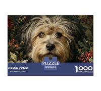 Eulard_a_Scruffy_Very_Long-Haired_and_fluffly_Dog_with_Grey_and_8c87a1c7-84b0-4cdf-837a-7a36180a9ea7 Carton Sécurisé Expérience Stimulante Et Amusante, Idéale pour Les Adultes Et Les Adolescents Plus