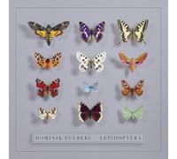 Eulberg, Dominik - Lepidoptera