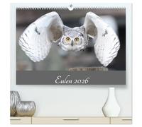 Eulen 2026 (hochwertiger Premium Wandkalender 2026 DIN A2 quer), Kunstdruck in Hochglanz: Eulen - Die Jäger der Nacht
