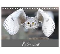 Eulen 2026 (Tischkalender 2026 DIN A5 quer), CALVENDO Monatskalender: Eulen - Die Jäger der Nacht