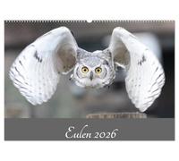 Eulen 2026 (Wandkalender 2026 DIN A2 quer), CALVENDO Monatskalender: Eulen - Die Jäger der Nacht