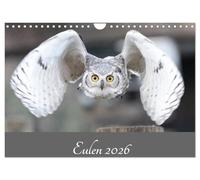 Eulen 2026 (Wandkalender 2026 DIN A4 quer), CALVENDO Monatskalender: Eulen - Die Jäger der Nacht