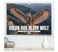 Eulen aus aller Welt - Faszinierende Jäger der Nacht (hochwertiger Premium Wandkalender 2026 DIN A2 quer), Kunstdruck in Hochglanz: Majestätische ... und einzigartiger Eulenporträts