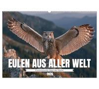 Eulen aus aller Welt - Faszinierende Jäger der Nacht (Wandkalender 2026 DIN A2 quer), CALVENDO Monatskalender: Majestätische Vögel der Nacht ... und einzigartiger Eulenporträts