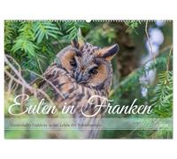Eulen in Franken (Wandkalender 2026 DIN A2 quer), CALVENDO Monatskalender: Als leidenschaftliche Tierfotografin freue ich mich, allen Eulenfreunden, ... das Leben der Waldohreulen geben zu dürfen.