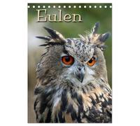 Eulen (Tischkalender 2026 DIN A5 hoch), CALVENDO Monatskalender: Lautlose Jäger der Nacht