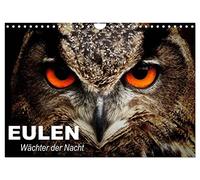 Eulen. Wächter der Nacht (Wandkalender 2026 DIN A4 quer), CALVENDO Monatskalender: Die mystischen Waldbewohner mit großer Fan-Gemeinde