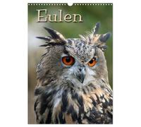 Eulen (Wandkalender 2026 DIN A3 hoch), CALVENDO Monatskalender: Lautlose Jäger der Nacht
