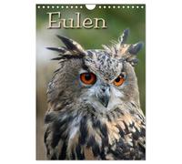 Eulen (Wandkalender 2026 DIN A4 hoch), CALVENDO Monatskalender: Lautlose Jäger der Nacht