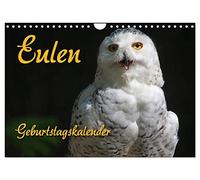 Eulen (Wandkalender 2026 DIN A4 quer), CALVENDO Monatskalender: Lautlose Jäger der Nacht