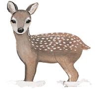 Eulenschnitt Carte Postale - Faon