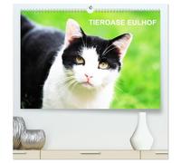 Eulhof (hochwertiger Premium Wandkalender 2026 DIN A2 quer), Kunstdruck in Hochglanz: Eulhof - der Gnadenhof im Mainhardter Wald ist eine Tieroase für eine Vielzahl von liebenswerten Geschöpfen