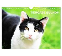 Eulhof (Wandkalender 2026 DIN A4 quer), CALVENDO Monatskalender: Eulhof - der Gnadenhof im Mainhardter Wald ist eine Tieroase für eine Vielzahl von liebenswerten Geschöpfen