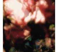 Euphonic Alliances Ltd - Peace Is It In You [Vinyl LP] [VINYL]