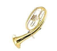 Euphonium Débutant Euphonium Professionnel En Tonalité De Si Bémol Et Trois Bémols