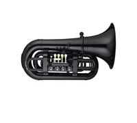 Euphonium Euphonium En Plastique ABS Instrument De Musique Coloré Idéal Pour Les Débutants(Black)