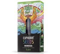 Euphoria Graines Mimosa Féminisées