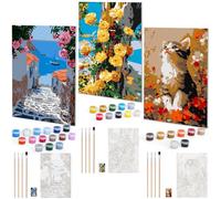 Euqvunn Lot de 3 Peinture Numero Adulte avec Cadre, Kit Peinture Numero Adulte DIY Toile 20x30cm avec Pinceaux et Peintures pour Débutant, Art à l'Huile pour Décor Murale