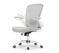 EUREKA ERGONOMIC Chaise de Bureau Ergonomique Fauteuil de Bureau en Maille Respirante Chaise d'ordinateur Roulant Comfortable avec Support Lombaire Réglable, Accoudoir Pliable