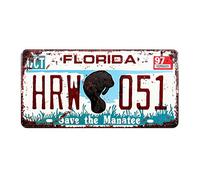 Eureya Florida HRM 051 Plaque d'immatriculation Auto pour Maison, café, Bar, Bar, Restaurant, Exposition Murale Vintage 15x30cm