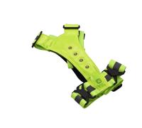 EURO MARKETING MANUFACTURING - SAFE RUN Ceinture réfléchissante avec lumière LED pour courir et marcher vous rendant visible dans l'obscurité