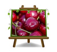 EURO PLANTS VIVAI Cerisier doux Dolce Van plante fruitière anciens Hauteur: 160~180 cm Âge 4 ans Pot: 24/26 cm