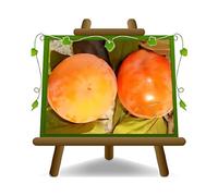 EURO PLANTS VIVAI Kaki Tipo plante fruitière ancienne en pot 20 cm hauteur 100-140 cm - Âge 2 ans