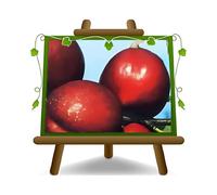 EURO PLANTS VIVAI Pêcher Nectarines à pulpe jaune Indipendence plante fruitière ancienne en pot 20 cm hauteur 150-170 cm - Âge 2 ans