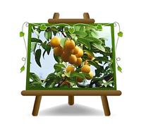 EURO PLANTS VIVAI Prunier Shiro Goutte d'or plante fruitière ancienne en pot 20 cm hauteur 150~170 cm - Âge 2 ans