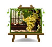 EURO PLANTS VIVAI Vigne Regina di Firenze Reine de Florence plante fruitière ancienne en pot 20 cm hauteur 150-170 cm - Âge 2 ans