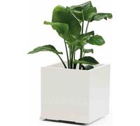 euro3plast 315-703 Bac à plantes Greener Kebe 40cm, blanc