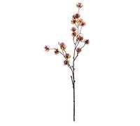 EUROCINSA Ref.21021C72 Rampe Cypres Marron, boîte de 12 unités, Beige, 91 cm