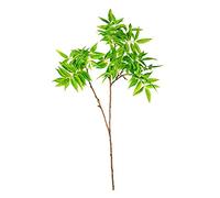 EUROCINSA Réf. 40600C50 Cuivre d'acacia Verte, boîte de 6 unités, 95 cm