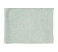 Eurofirany Tapis décoratif rectangulaire en Fausse Fourrure Douce pour Salle de Bain, Salon, Chambre à Coucher, Cuisine, Polyester, Menthe, 60 x 90 cm