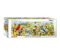 Eurographics Puzzle panoramique Oiseaux du jardin 1000 pièces multicolore - version anglaise
