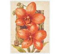 Eurographics CA2216 Fine Art Print Bellezza Morte de Claudia Ancilotti 18 x 24 cm