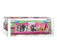 Eurographics EG60105629 Puzzle 1000 pièces pour Chat