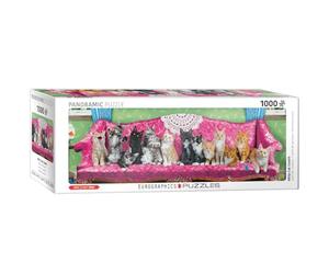 Eurographics EG60105629 Puzzle 1000 pièces pour Chat