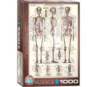 Eurographics Le Système Squelettique Puzzle En Bois De 1000 Pièces 680Mm X 490Mm